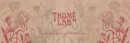 Exclusive Polaroid Album Reward